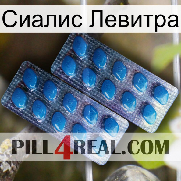 Сиалис Левитра viagra2.jpg